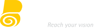 Business Spring Inc - logo